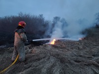 На Чернігівщині впродовж минулої доби вогнеборці ліквідували 13 пожеж