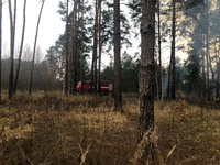Бородянський район: ліквідовано загорання лісової підстилки