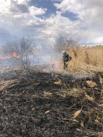 Згурівський район: ліквідовано загорання сухої рослинності та очерету