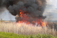 Апостолівський район: вогнеборці ліквідували загорання сухої трави та очерету