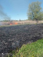 Тетіївський район: рятувальники ліквідовують загорання сухої рослинності