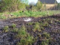 За добу вогнеборці області ліквідували п’ять пожеж сухої трави та одне загоряння торфу