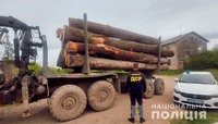 На Прикарпатті правоохоронці затримали вантажівки з незаконно зрубаною деревиною