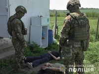 На Миколаївщині поліцейські викрили наркоугруповання на вирощуванні коноплі та ліквідували мережу теплиць з наркотичними засобами