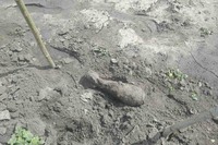 Чернігівська область: піротехніки ДСНС знищили 3 вибухонебезпечні предмети часів Другої світової війни