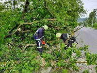 Чернівецька область: рятувальники прибрали повалене дерево з проїжджої частини