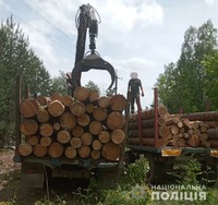 Близько 15 кубометрів вилученого лісу: правоохоронці встановлюють походження деревини