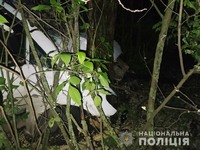 На Дніпропетровщині поліція затримала водія, який після скоєння смертельного ДТП втік з місця події