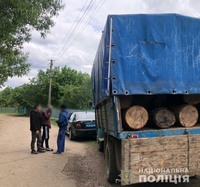 Поліцейські Івано-Франківщини викрили вантажівку з краденою деревиною