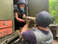 Дністровський район: піротехніки знищили артилерійський снаряд