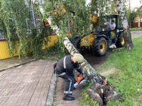 Кам’янка: рятувальники прибрали повалене дерево з даху магазину