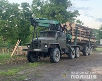 Тячівські поліцейські затримали вантажівку з деревиною сумнівного походження