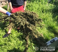 Поліцейські вилучили наркотики у чотирьох жителів Житомирщини