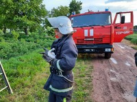 Луцький район: працівники ДСНС повернули в гніздо лелеченя, що з нього випало