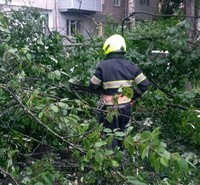 Чернівецька область: рятувальники прибрали повалені дерева з проїжджої частини автодороги