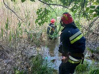 М. Селидове: бійці ДСНС врятували чоловіка, який тонув у місцевому ставку