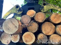 На Харківщині поліцейські викрили незаконну порубку деревини