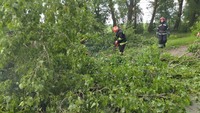 На Вінниччині бійці ДСНС звільнили автошляхи від повалених вітром дерев
