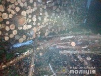 Баранівські поліцейські затримали автомобіль з викраденою деревиною
