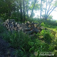 На Сумщині правоохоронці виявили незаконних заготівельників лісу
