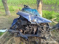 Поліцейські розслідують обставини ДТП у Баштанському районі, де загинув водій Honda