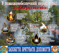 В Ужгородському районі під час пожежі сухої трави отримала опіки 61-річна жінка
