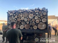 На Харківщині поліцейські виявили незаконну порубку дерев