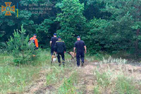 На Чернігівщині рятувальники залучалися до пошуків 82-річної жінки яка заблукала у лісі