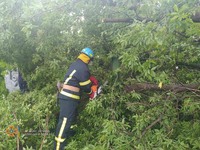 Смт Нікольське: рятувальники двічі надавали допомогу з прибирання аварійних дерев