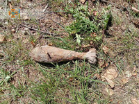 Камінь-Каширський район: піротехніки знешкодили 17 боєприпасів