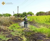 Рятувальники Херсонщини за добу ліквідували 5 пожеж в екосистемах