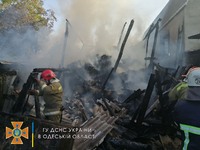 Одеська область: вогнем знищено 10 тон сіна