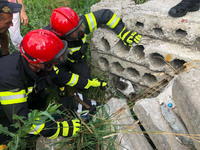Київська область: пухнастий застряг у бетонній плиті та ледь дочекався рятувальників