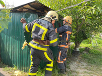 Київська область: рятувальники ліквідували пожежу в господарчій будівлі