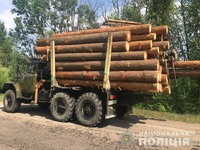 Овруцькі поліцейські затримали вантажівку з викраденою деревиною