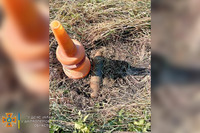 Піротехніки ДСНС знищили застарілий артилерійський снаряд, який виявлено у Новомосковському районі