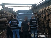 На Чернігівщині поліцейські припинили діяльність організованого злочинного угруповання викрадачів лісу