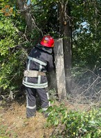 Кіровоградська область: рятувальники надавали допомогу по розпилюванню та прибиранню аварійних дерев і гілок