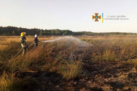 Волинська область: рятувальники ліквідували пожежу сухої рослинності та чагарників