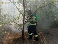 Рятувальники Херсонщини за добу ліквідували 17 пожеж в екосистемах