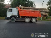На Рахівщині поліцейські затримали вантажівку з нелегальною деревиною