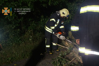 Шепетівський район: білогірські рятувальники відновили рух автомобілів, прибравши дерево, що впало на проїжджу частину