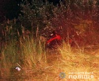 У Пулинській громаді у ДТП загинув водій мотоблока: поліція з’ясовує обставини