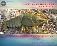 Заборона на вилов раків  у водоймах Миколаївської області діятиме з 10 серпня 2021р.