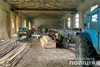 Соснові колоди та дуб: правоохоронці виявили незаконну деревину на підприємствах Ківерцівщини 