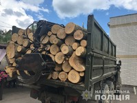 У двох громадах Житомирщини поліцейські затримали вантажівки з необлікованим лісом