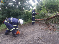 Миколаївська область: рятувальники розпиляли дерево, яке впало на проїжджу частину