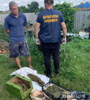 На Львівщині поліцейські викрили зловмисника, який  культивував нарковмісні рослини