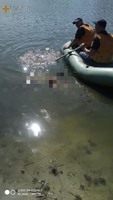 Олександрійський район: рятувальники вилучили тіло загиблого чоловіка з водойми