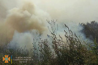 Синельниківський район: вогнеборці ліквідували займання на відкритій території